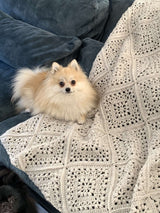 Crochet Kit - Tulip Square Throw image 3 thumbnail