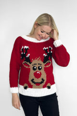 Crochet Kit - Reindeer Christmas Sweater image 1 thumbnail