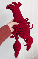 Close up of lobster stuffie held against a white backdrop. It has a fringed tail, to large claws and antenna, and a spiral design on the top of its body.  thumbnail