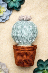 Amigurumi Succulent in Pottery image 3 thumbnail