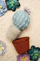 Amigurumi Succulent in Pottery image 1 thumbnail