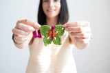 Butterflies image 1 thumbnail