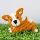 Baby Corgi image 1 thumbnail
