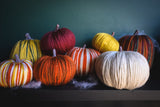 Cristo Pumpkins image 2 thumbnail