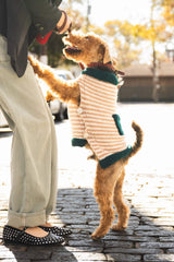 Good Dog Sweater image 1 thumbnail