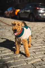 Good Dog Sweater image 3 thumbnail