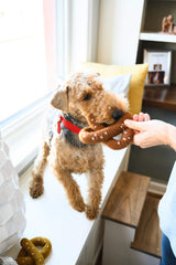 Pretzel Pet Toy image 2 thumbnail