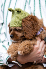 Josie Beanie (Crochet) thumbnail