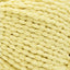 Cornsilk - Swatch Image