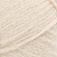 Neutral - Swatch Image