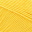 Sunflower - Swatch Image