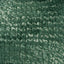 Cabbage Patch - Swatch Image