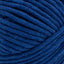 Blueberry - Swatch Image
