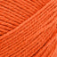 Poppy - Swatch Image