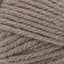Warm Stone - Swatch Image