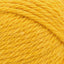 Sunflower - Swatch Image