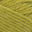 Dirty Chartreuse - Swatch Image