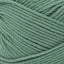 Spruce - Swatch Image