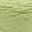 Celery - Swatch Image