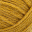 Mustard - Swatch Image