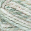 Seashell - Swatch Image