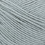Silver Lining - Swatch Image