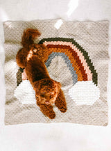 Crochet Kit - Over the Rainbow Blanket image 2 thumbnail