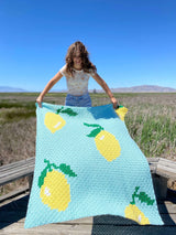 Crochet Kit - Squeeze The Day Throw image 3 thumbnail