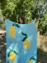 Crochet Kit - Squeeze The Day Throw image 2 thumbnail