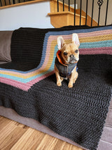 Crochet Kit - Retro Stripes Blanket image 3 thumbnail