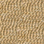 Rococo - Swatch Image