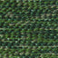 Forest - Swatch Image