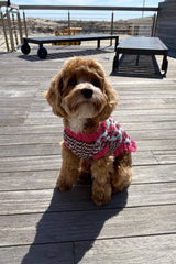 Vibrant Leopard Dog Sweater image 1 thumbnail