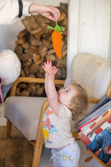 Carrot Scrubbie image 1 thumbnail