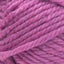 Palm Bay Orchid - Swatch Image