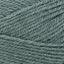 Petrified Forest - Swatch Image
