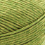 Everglades - Swatch Image