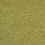 Saguaro - Swatch Image