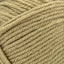 Ginger Root - Swatch Image