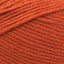 Pumpkin - Swatch Image