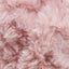 Pink Poodle - Swatch Image