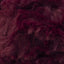 Red Panda - Swatch Image