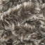 Chow Chow - Swatch Image