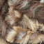 Fawn - Swatch Image