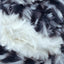 Zebra - Swatch Image