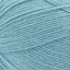 Succulent - Swatch Image