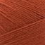 Pumpkin Spice - Swatch Image