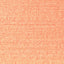 Creamsicle - Swatch Image