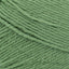 Olive - Swatch Image