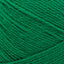 Wintergreen - Swatch Image
